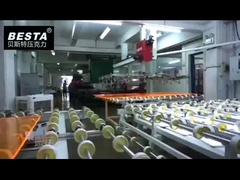 أوراق أكريليك الزخرفية المخصصة 1220 * 2440mm